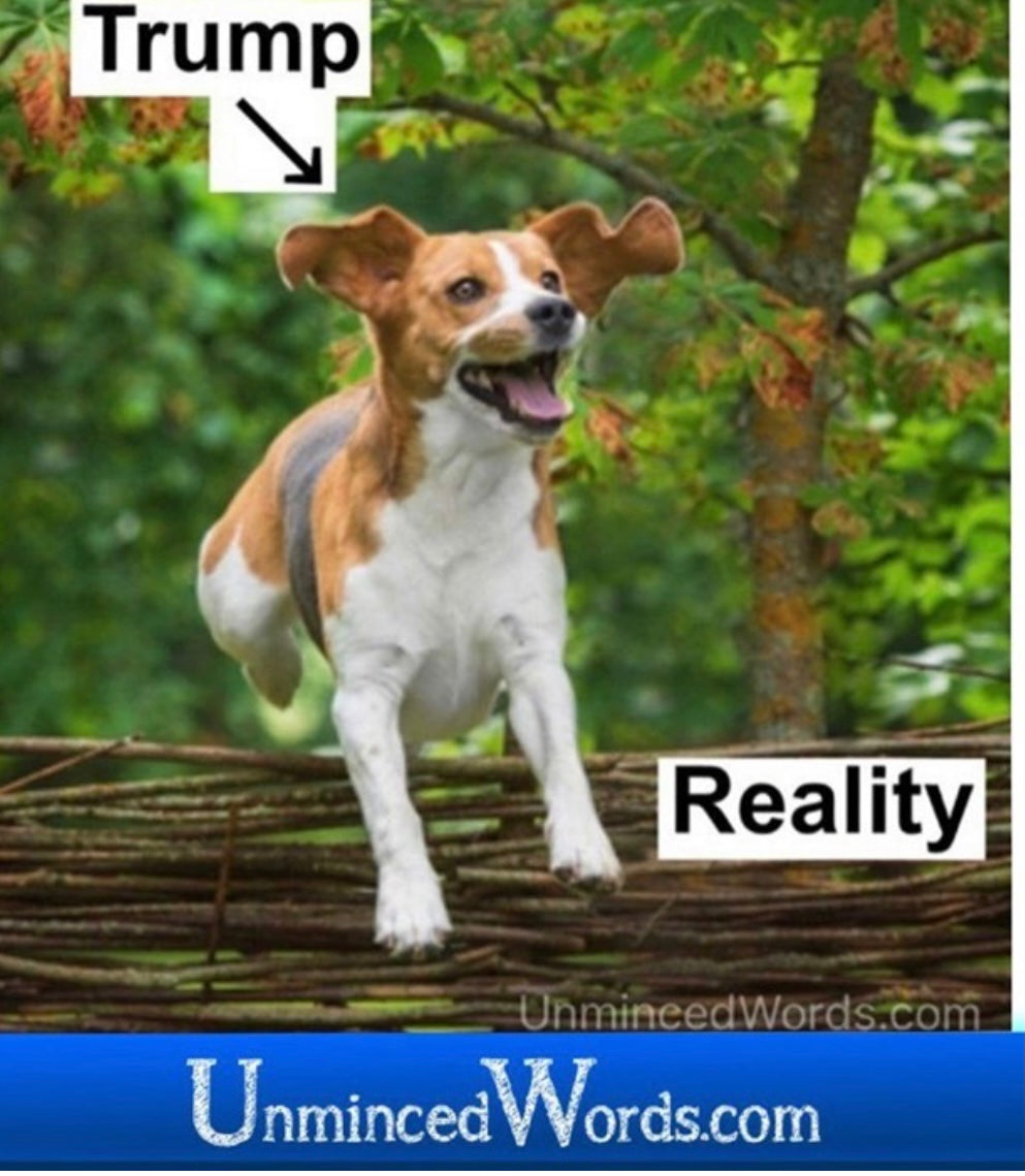 Trump metaphor as he leaps past reality