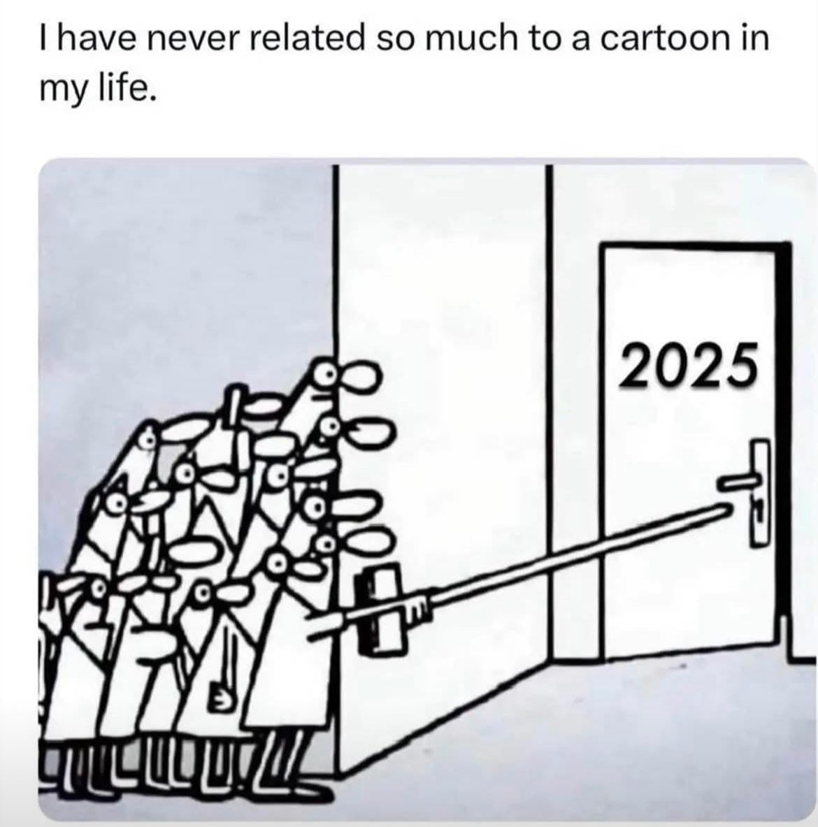 This cartoon sums up my view of 2025